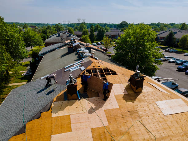 Roof Gutter Cleaning in North East, MD